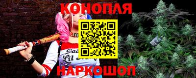 СК Донецк