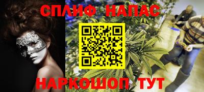 СК Донецк