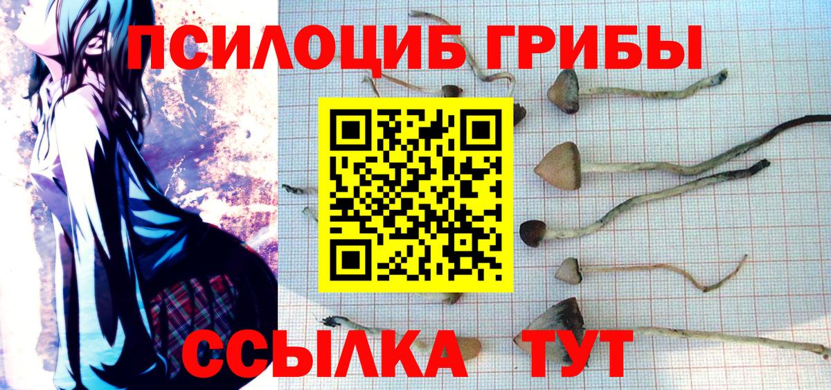 Псилоцибиновые грибы ЛСД Моздок